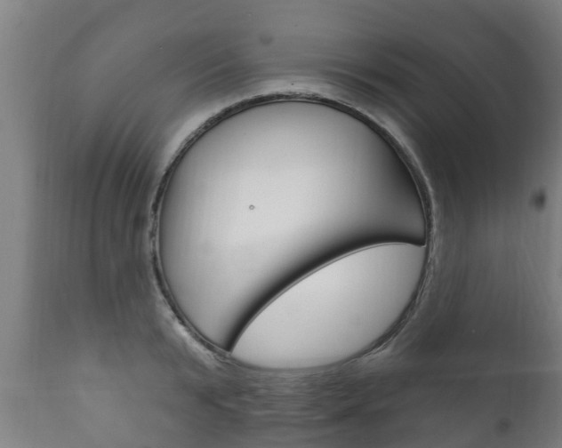 X0000111910799200907271034