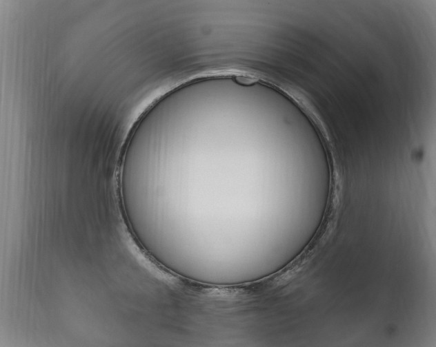 X0000111910805200907271034