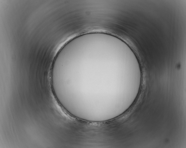 X0000111910806200907271033
