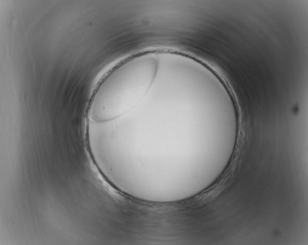 X0000111910807200907271033