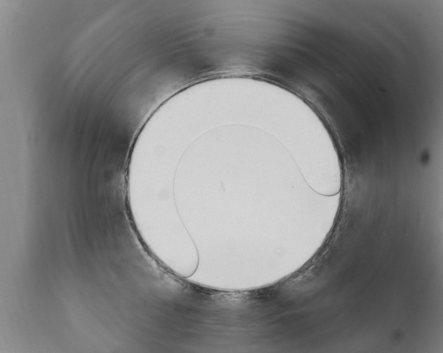 X0000111910810200907271033