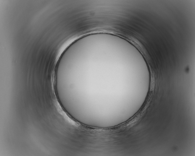 X0000111910812200907271033
