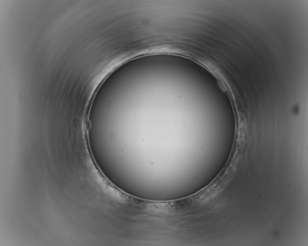 X0000111910813200907271033
