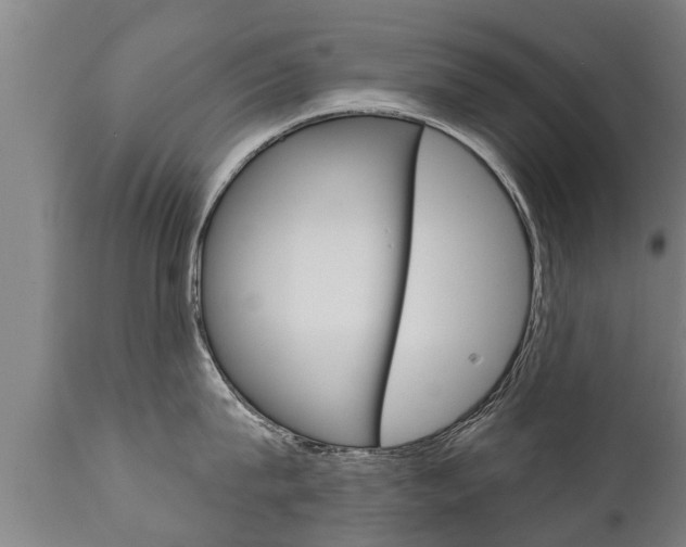 X0000111910815200907271033