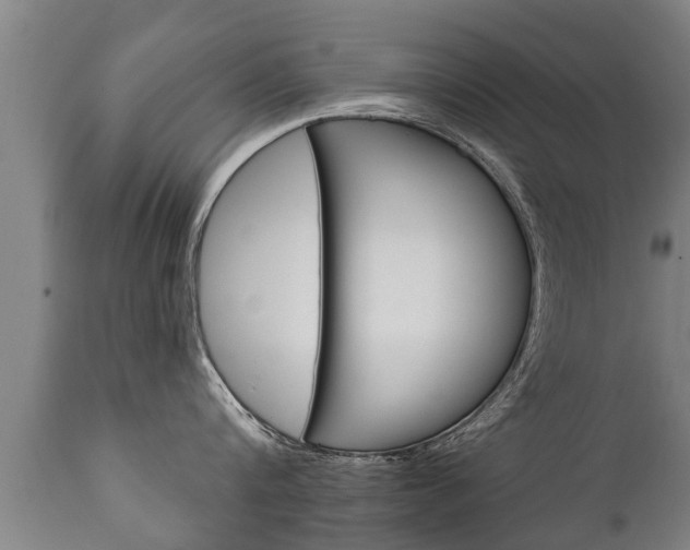 X0000111910816200907271033