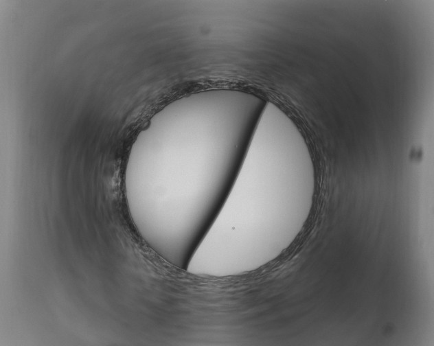 X0000111910818200907271033