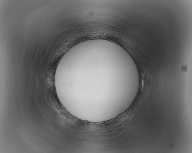 X0000111910819200907271033