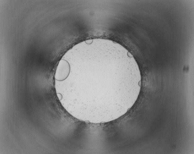 X0000111910820200907271033
