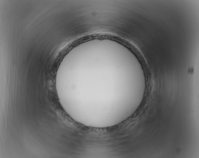 X0000111910823200907271033