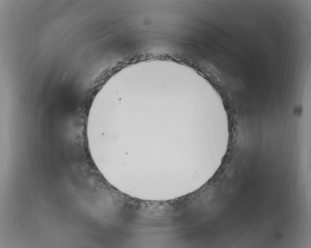 X0000111910824200907271033