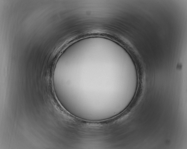 X0000111910825200907271033