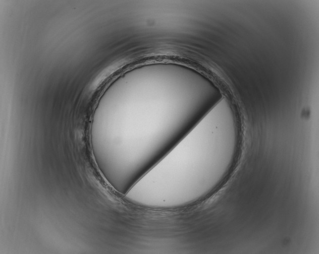 X0000111910826200907271033