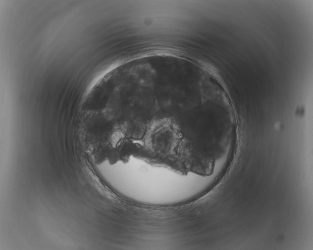 X0000111910827200907271033