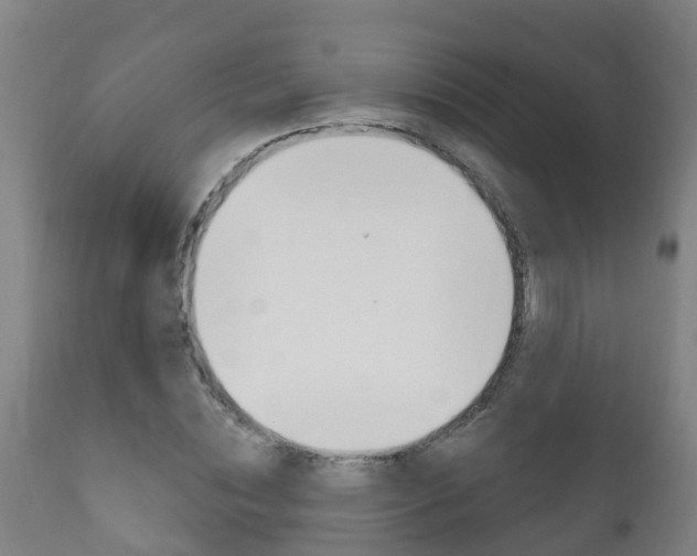 X0000111910828200907271033