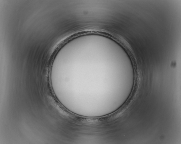 X0000111910831200907271033