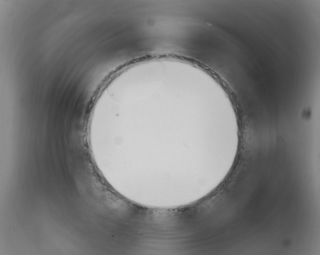 X0000111910832200907271033