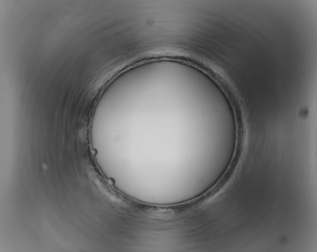 X0000111910833200907271033