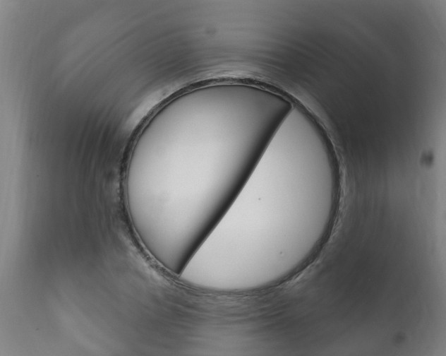 X0000111910834200907271033