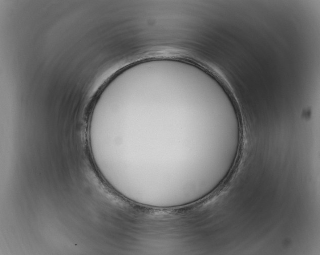 X0000111910835200907271033