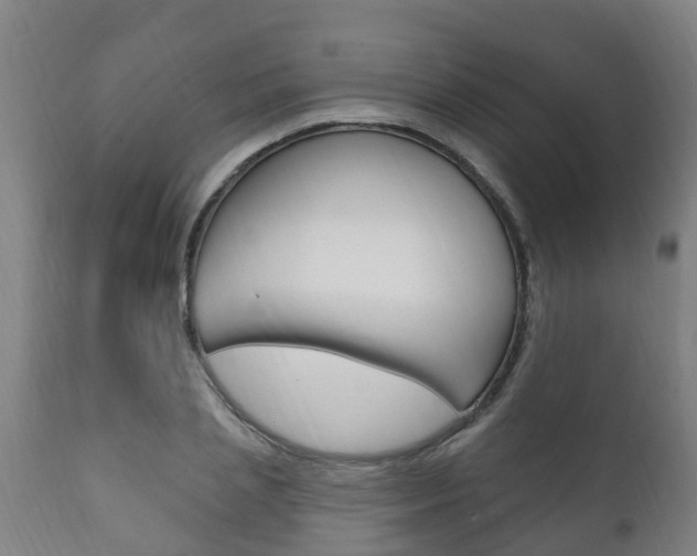 X0000111910837200907271033