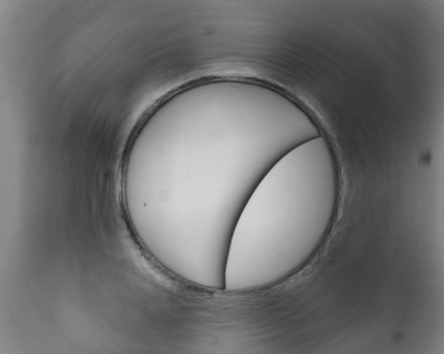 X0000111910840200907271033