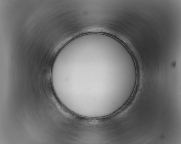X0000111910841200907271033