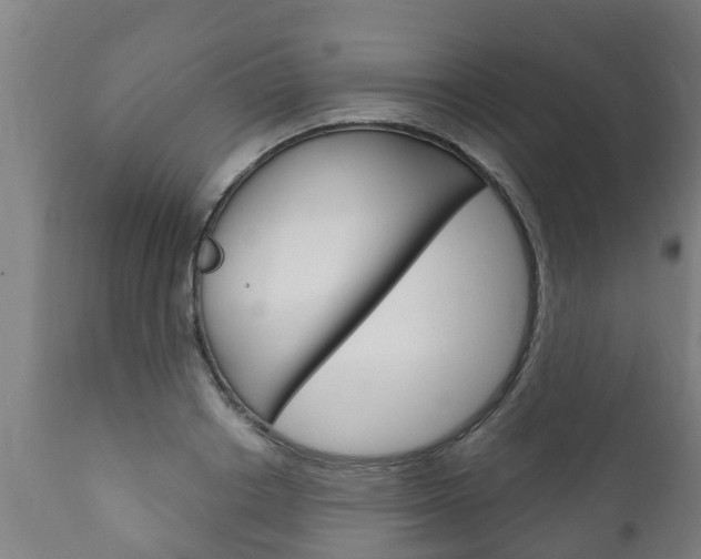X0000111910842200907271033