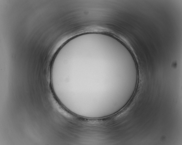 X0000111910843200907271033