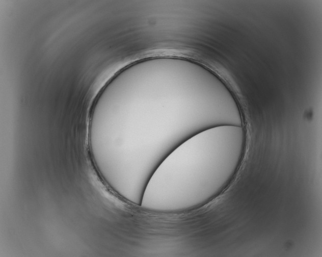 X0000111910844200907271033