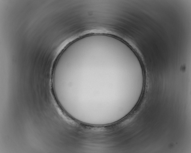 X0000111910845200907271033