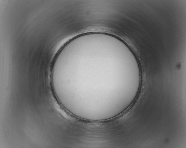 X0000111910846200907271033