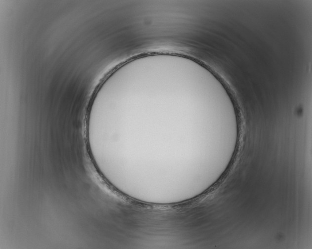 X0000111910848200907271033