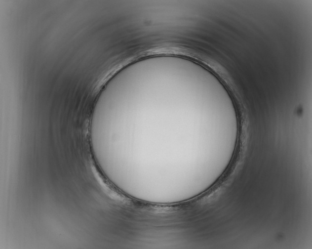 X0000111910849200907271033