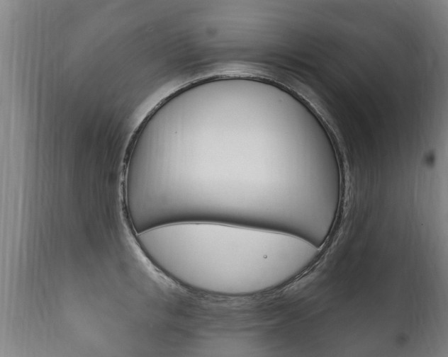 X0000111910853200907271033