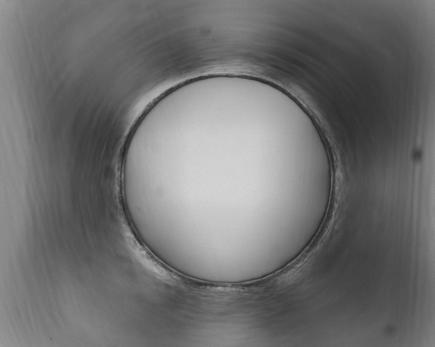 X0000111910854200907271033