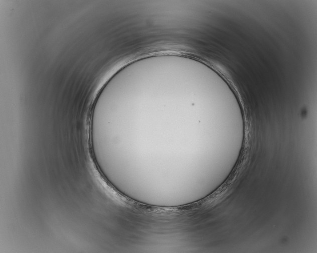 X0000111910859200907271033