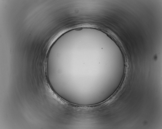 X0000111910860200907271033