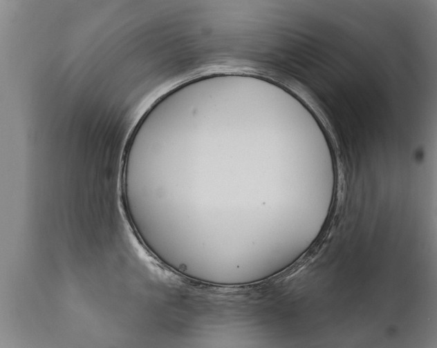X0000111910861200907271033