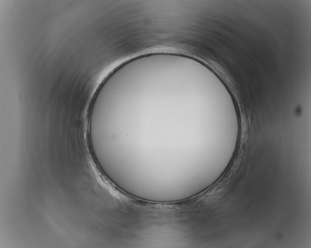 X0000111910862200907271033