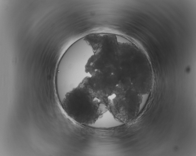 X0000111910863200907271033