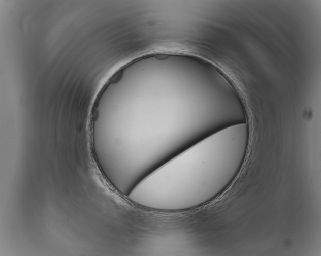 X0000111910864200907271033
