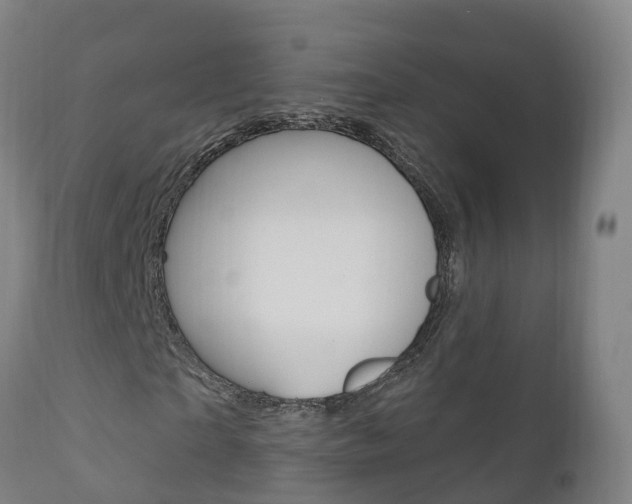 X0000111910865200907271033