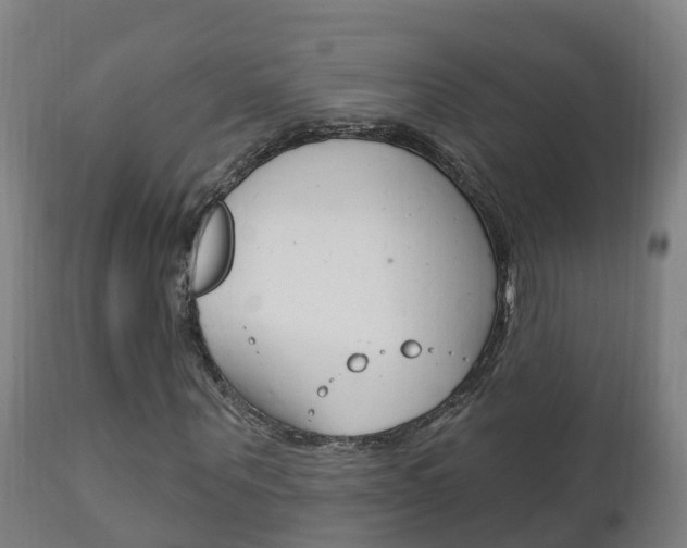 X0000111910867200907271033