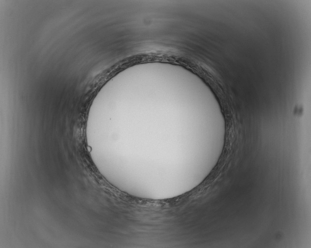 X0000111910869200907271033