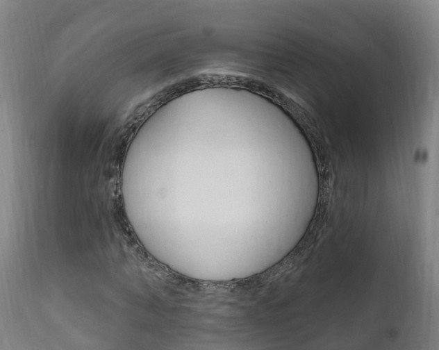 X0000111910870200907271033