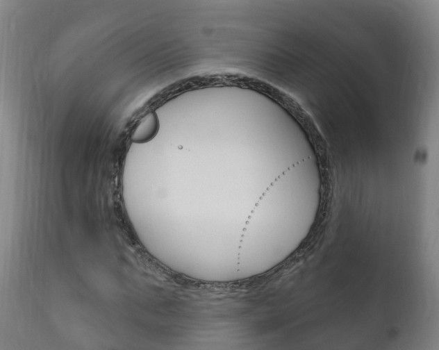 X0000111910871200907271033