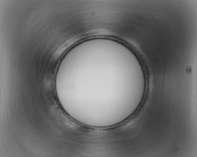 X0000111910873200907271033