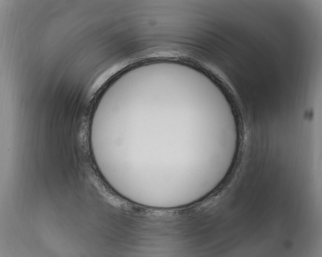 X0000111910874200907271033