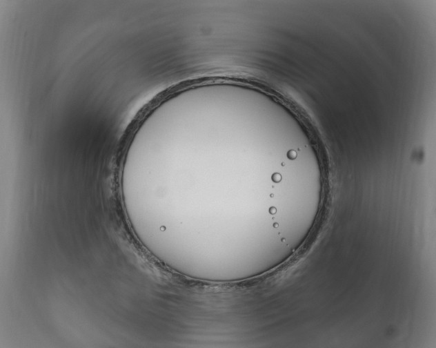 X0000111910875200907271033