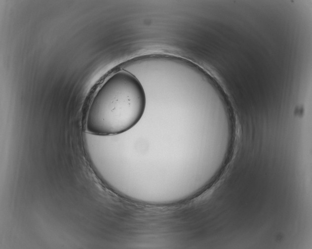 X0000111910877200907271033